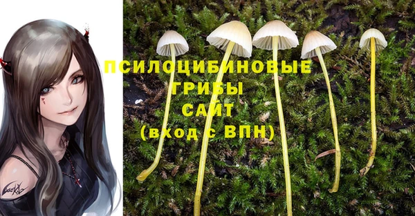 бутик Каменка